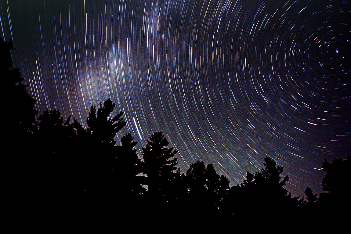 Star trails over silhouetted forest 